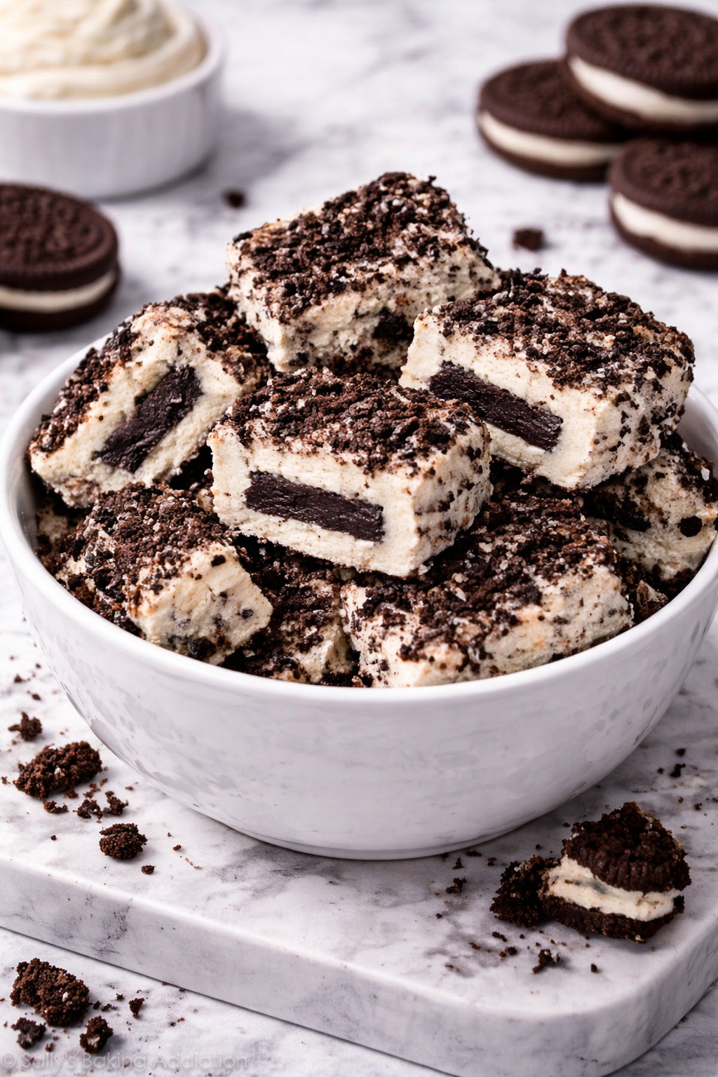 Mr. Enjoyment Freeze-Dried Ice Cream Cookies &amp; Cream – rich vanilla with chocolate cookie goodness in every bite